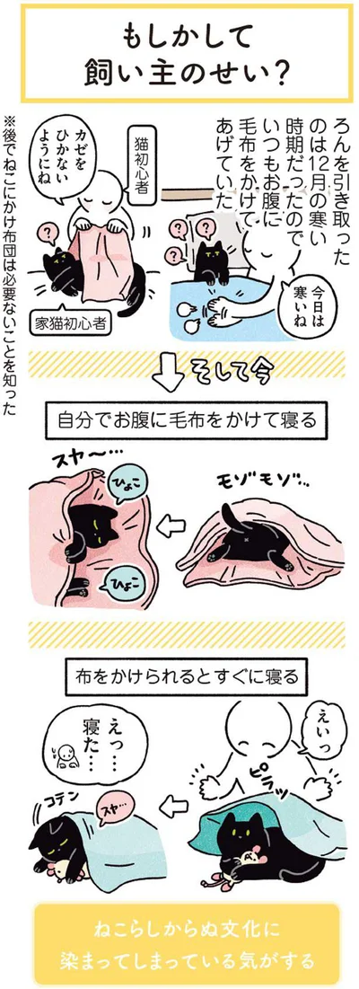 ねこらしからぬ文化に染まってしまっている