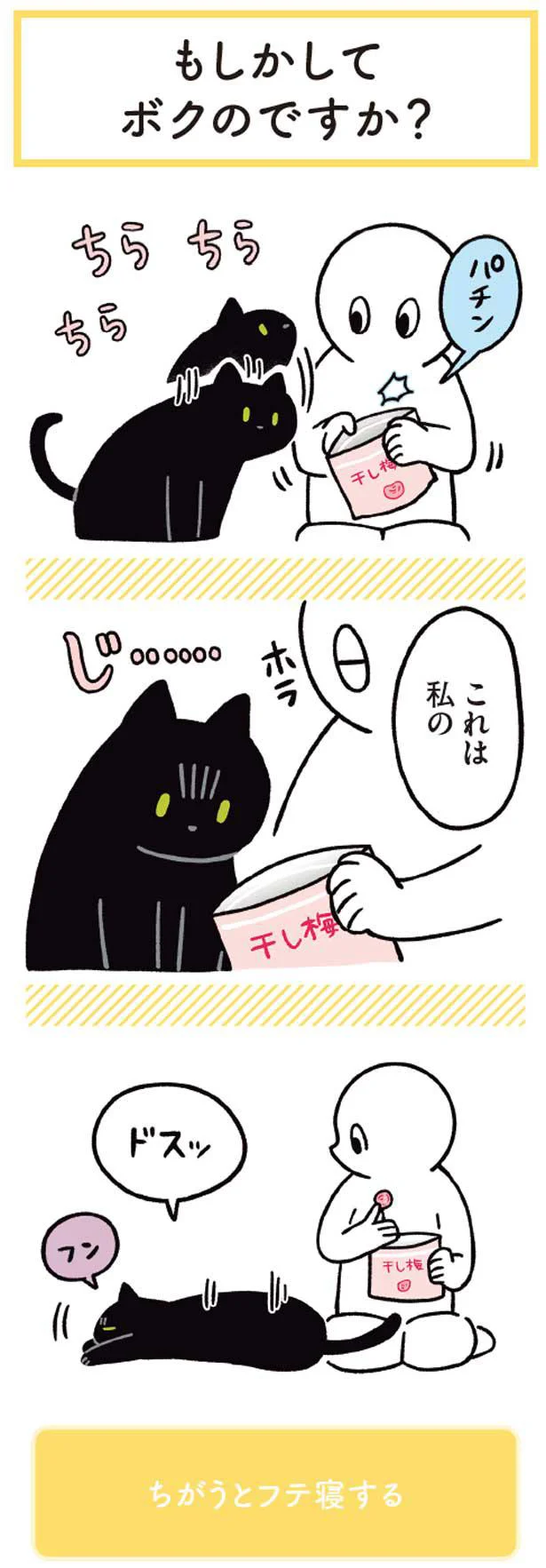 これは飼い主の