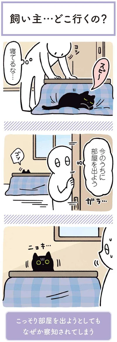 どこ行くの？