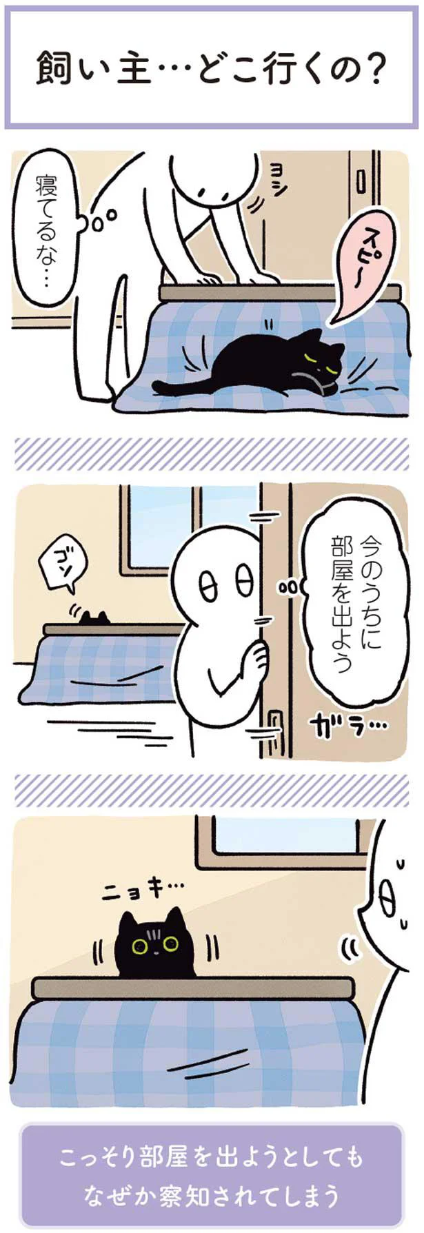 どこ行くの？