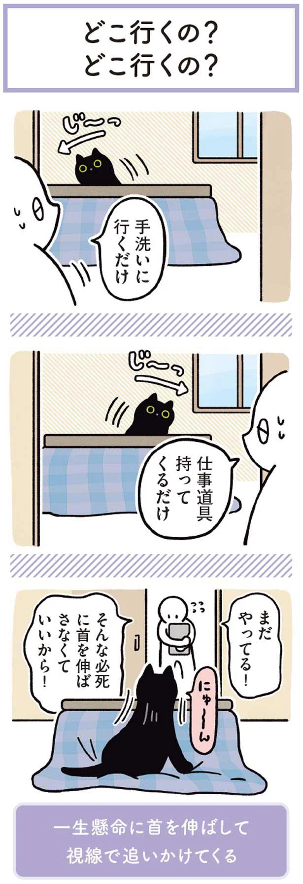 そんな必死に首を伸ばさなくていいから！