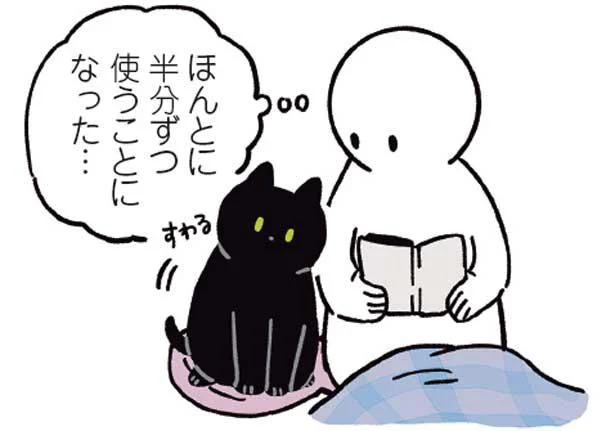 ねこと半分ずつ