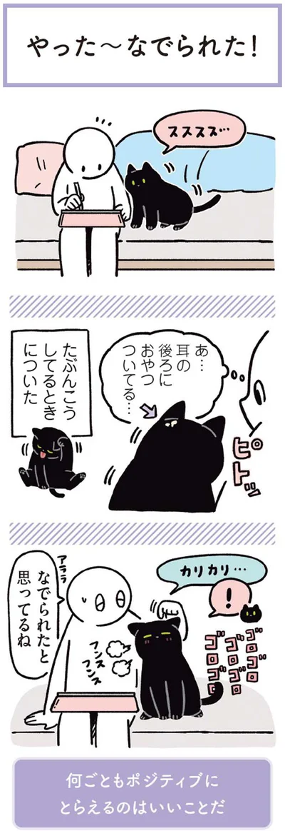 なでられたと思ってるね