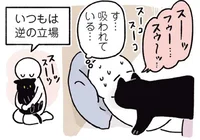 人間がねこを吸うように、ねこも人間を吸いたい時が？／黒猫ろんと暮らしたら３（13）