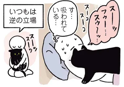 ねこに吸われている