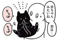 抱っこされてること忘れてない？まるで赤ちゃんみたいなねこ／黒猫ろんと暮らしたら３（14）