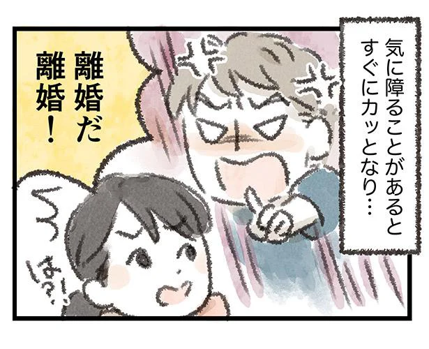 「離婚だ、離婚！」夫はすぐにそう言って…