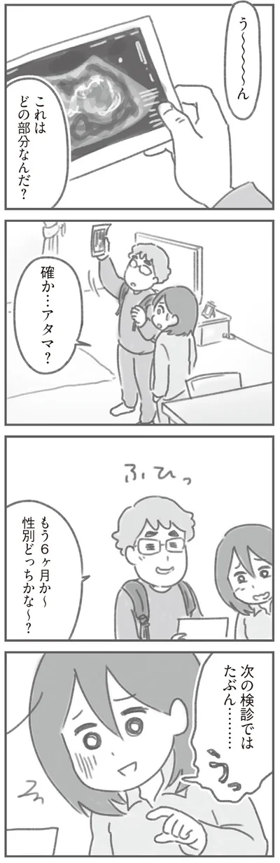 性別どっちかな～？