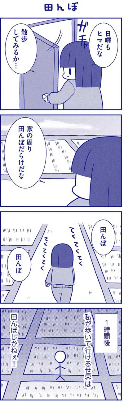 田んぼ