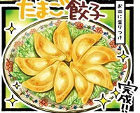 焼きながら具を包む新感覚餃子♪ふわっとジューシーな「台湾風たまご餃子」／たま卵ごはん（15）