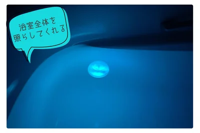 浴室全体が明るい