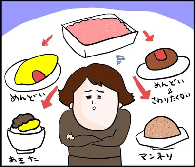 ひき肉のレパートリー…飽きたな。
