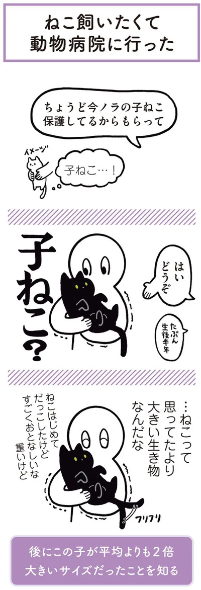 ねこ飼いたくて動物病院に行った