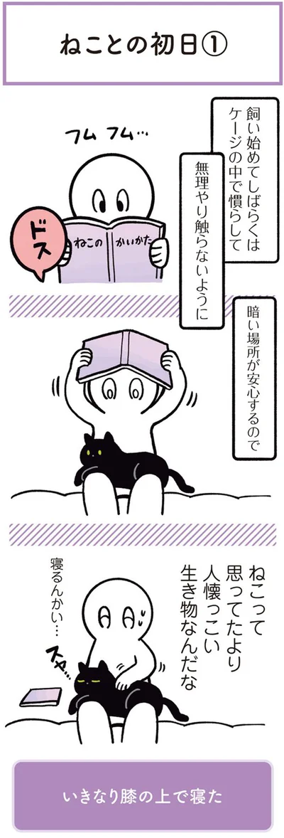 ねことの初日（１）