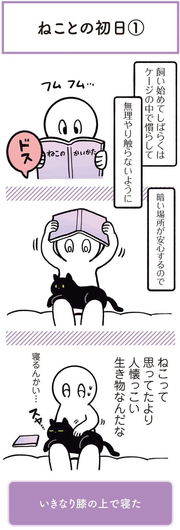 ねことの初日（１）