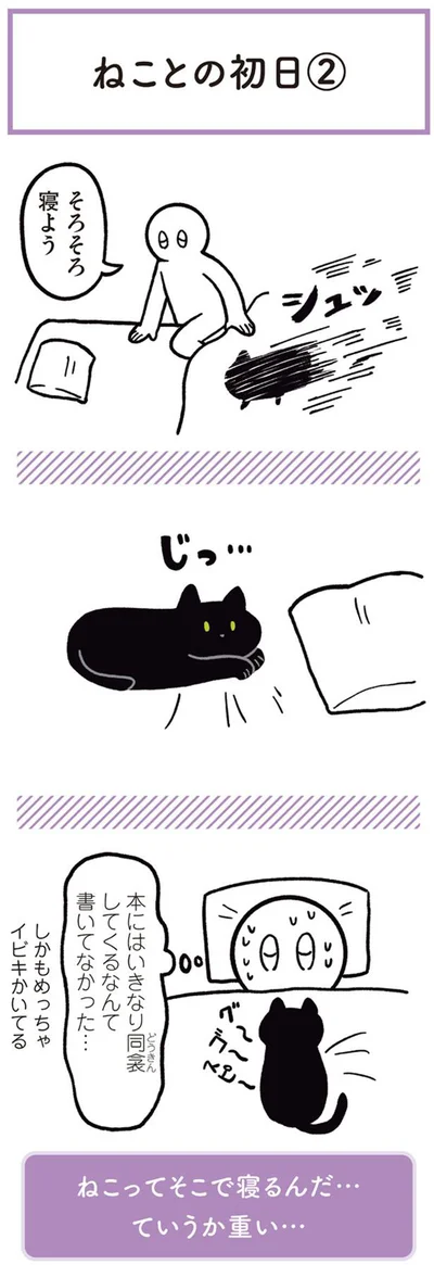 ねことの初日（２）