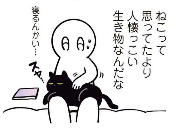 猫って人懐っこい生き物なんだな