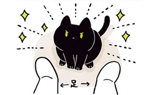 黒猫ろんと暮らしたら2 レタスクラブ