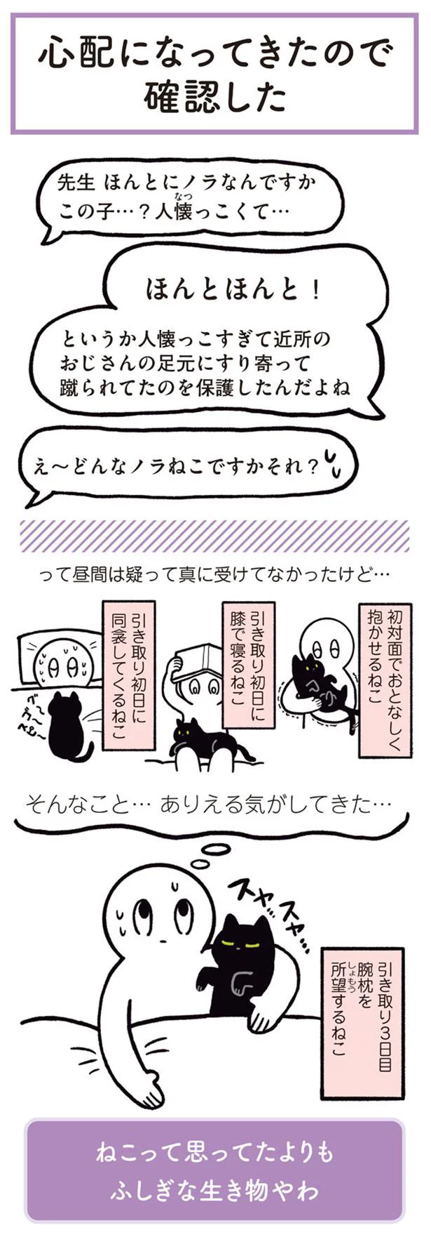 【画像を見る】心配になってきたので確認した