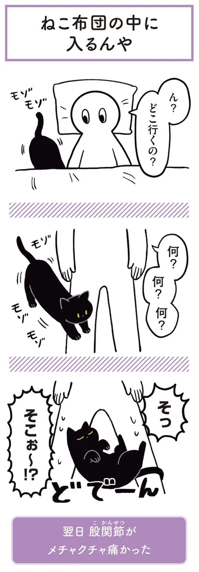 ねこ布団の中に入るんや