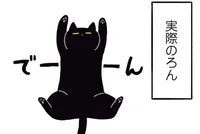 飼う前のイメージと、実際に飼ってみた猫の違い／黒猫ろんと暮らしたら（3）