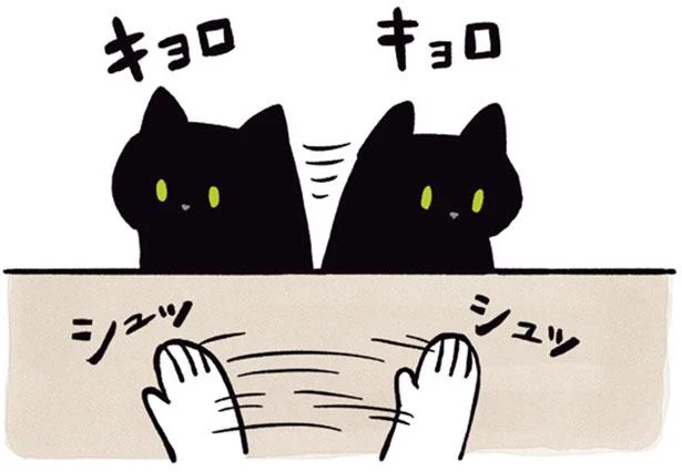飼い主の手の動きにじゃれてくるねこ／黒猫ろんと暮らしたら（5）