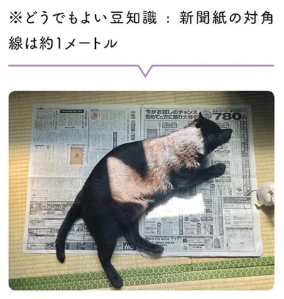 新聞紙の対角線は約1メートル