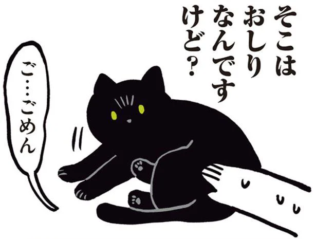 頭を撫でようとして、よくやってしまう間違い／黒猫ろんと暮らしたら（8）