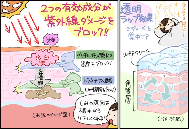 美白有効成分である「トラネキサム酸」は「しみ情報」をブロック