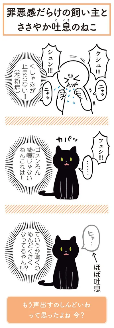 罪悪感だらけの飼い主とささやか吐息のねこ