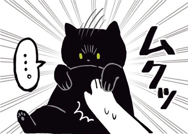「なんだ…飼い主か…」と二度寝するねこ／黒猫ろんと暮らしたら（13）