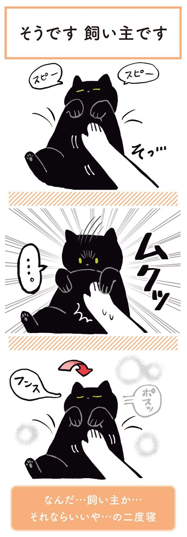 【画像を見る】そうです飼い主です