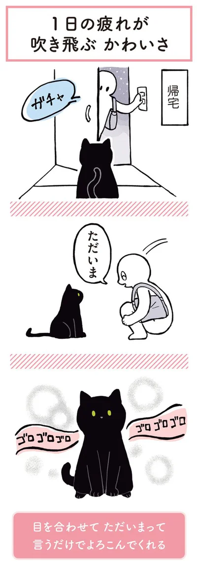 【画像を見る】1日の疲れが吹き飛ぶかわいさ