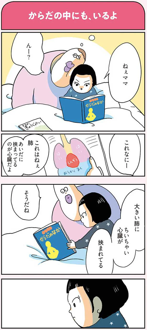 大きい肺にちいちゃい心臓が挟まれてる