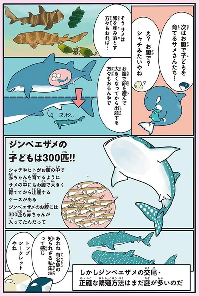 【画像を見る】お腹で子どもを育てるサメさんたち