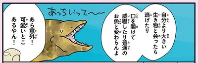 海のギャングと言われているウツボ。実際は大人しい？