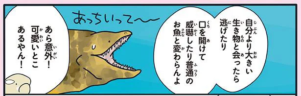 「海のギャング」と呼ばれるウツボは大人しいインドア派／どうぶつの恋愛が不思議すぎて！（5）