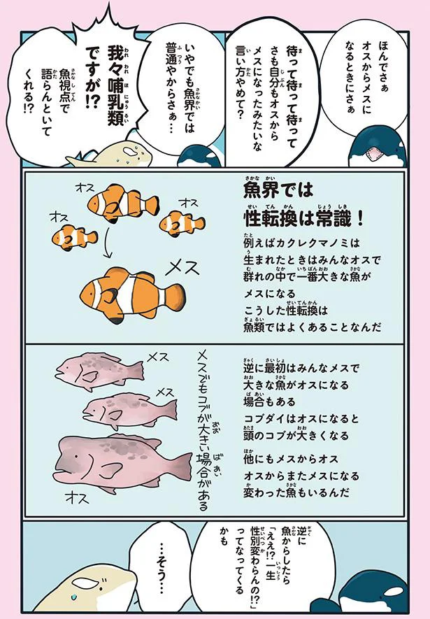 魚界では性転換は常識！