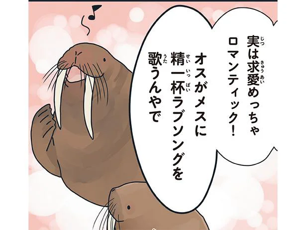 実はロマンティック!? セイウチはオスがメスに精一杯のラブソングを捧げている!