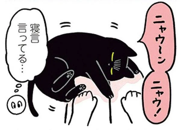 ねこも寝ぼけて寝言を言います／黒猫ろんと暮らしたら2（9）