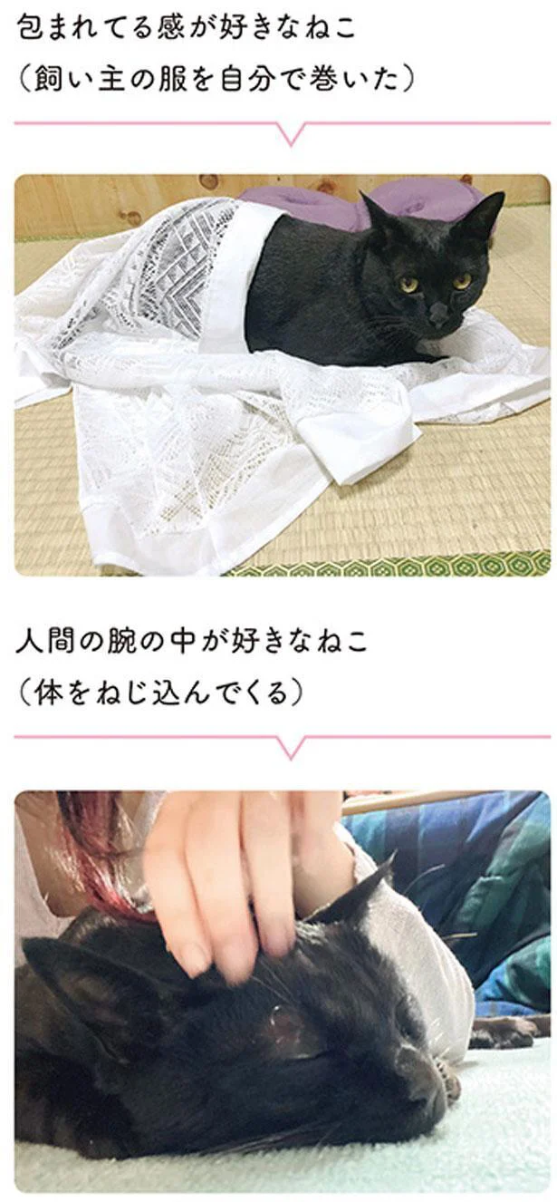 包まれてる感が好きなねこ