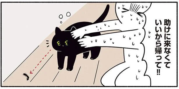 飼い主の悲鳴をきいて助けに来たねこ／黒猫ろんと暮らしたら2（11）