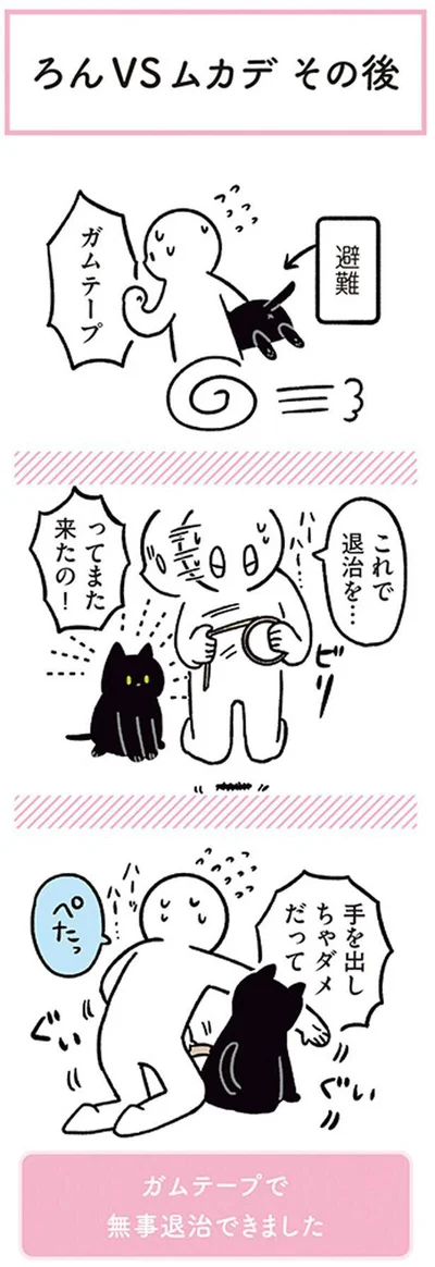 ろんVSムカデ　その後