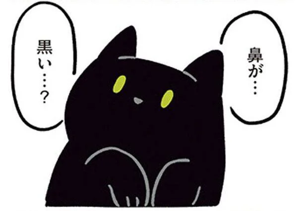 ん？黒い…？ ねこ初心者の驚きとは／黒猫ろんと暮らしたら2（13）
