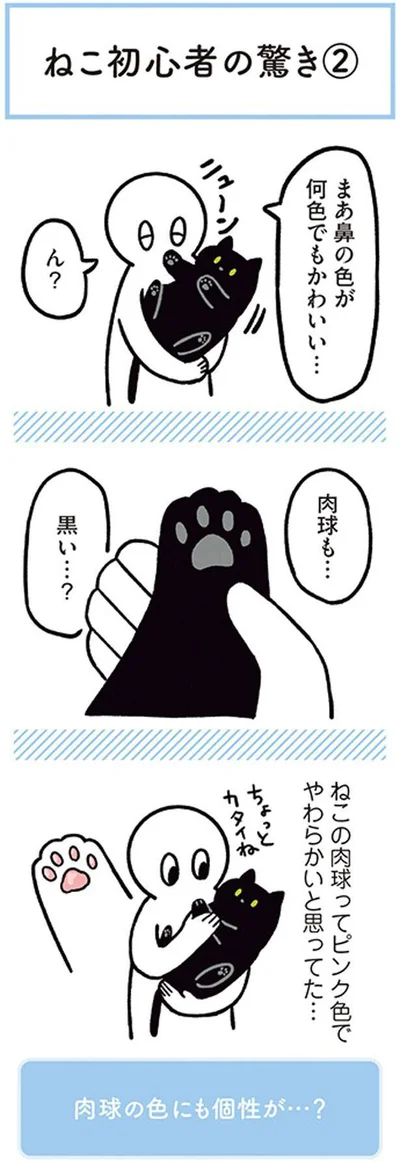 ねこ初心者の驚き２