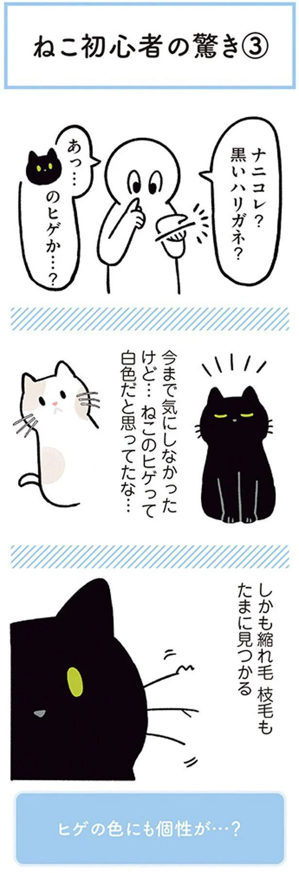 ねこ初心者の驚き３