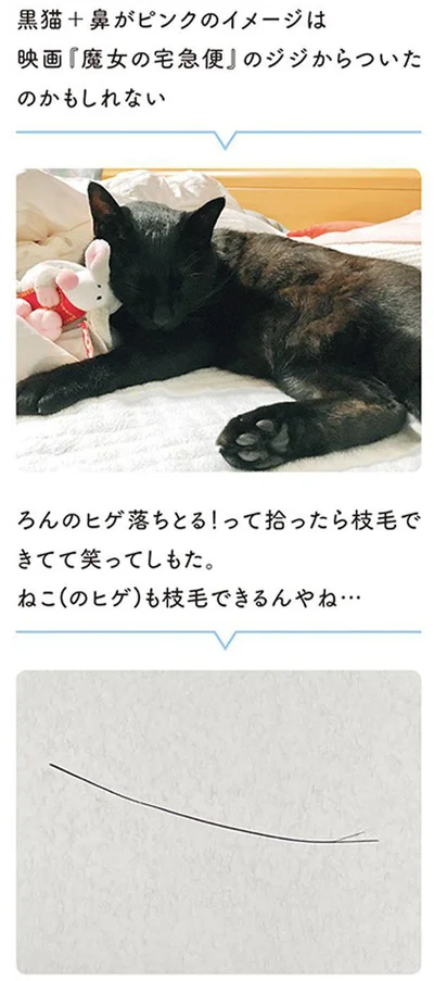 ねこ（のヒゲ）にも枝毛できるんやね…