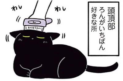 ブラッシングに協力的なねこ