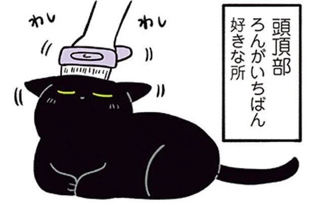 ブラッシングに協力的なねこ／黒猫ろんと暮らしたら2（14）