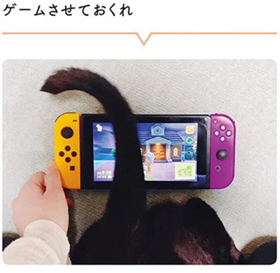 ゲームさせておくれ